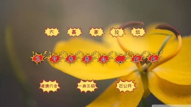 4949澳门今晚开奖,实时更新解释介绍_同步版87.452