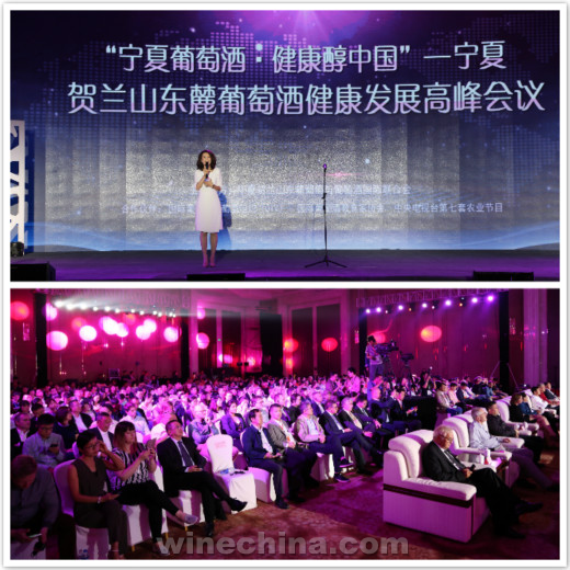 马顺清2017动态，心灵与自然的奇妙之旅
