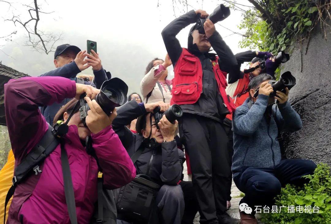 石台最新资讯，小镇日常趣事与家的温馨纽带