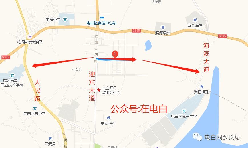 西安凤凰大道最新动态详解，步骤指南与动态更新速递