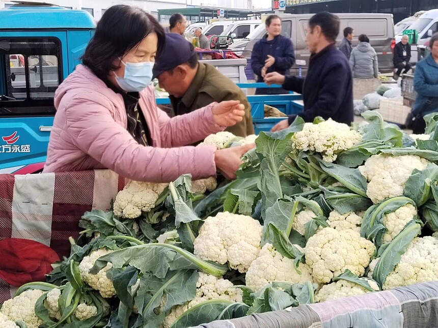 最新菜花市场价格动态揭秘，新鲜资讯一网打尽！