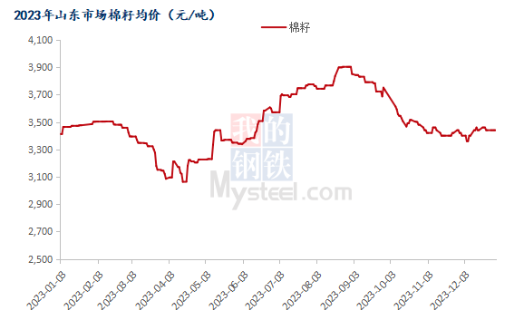 山东棉籽行情深度探索，巷弄中的棉籽故事
