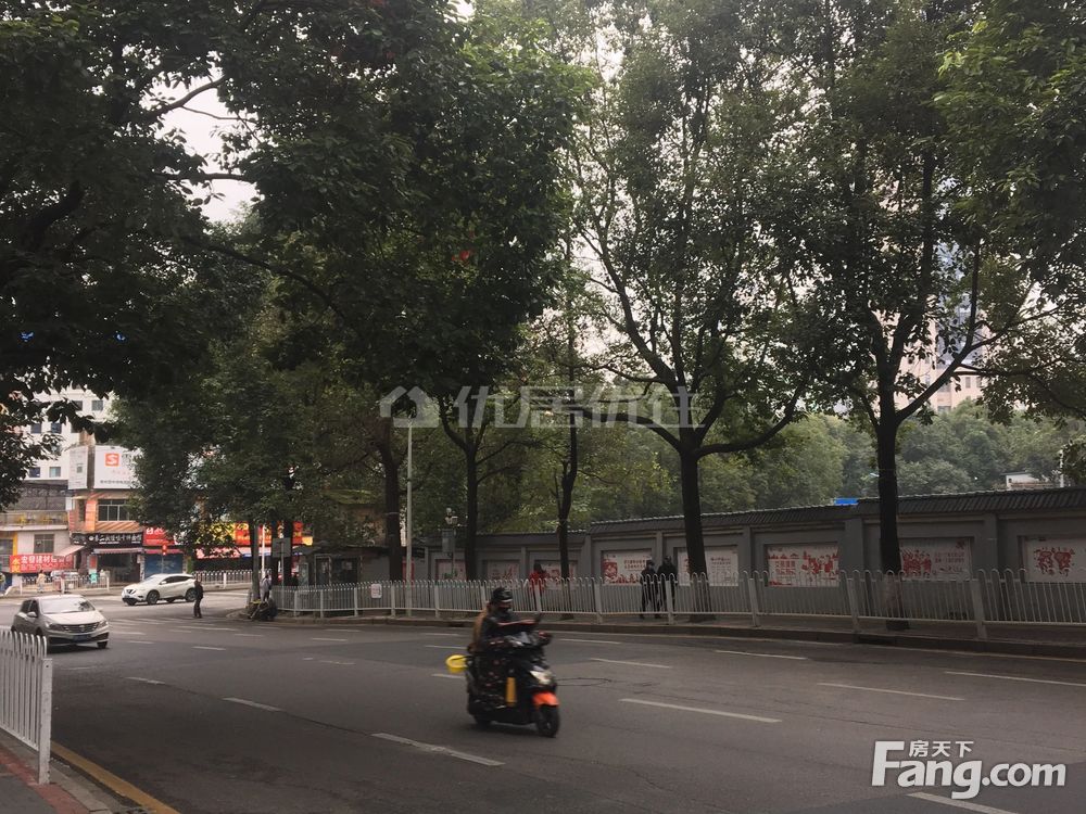 建章路最新动态更新