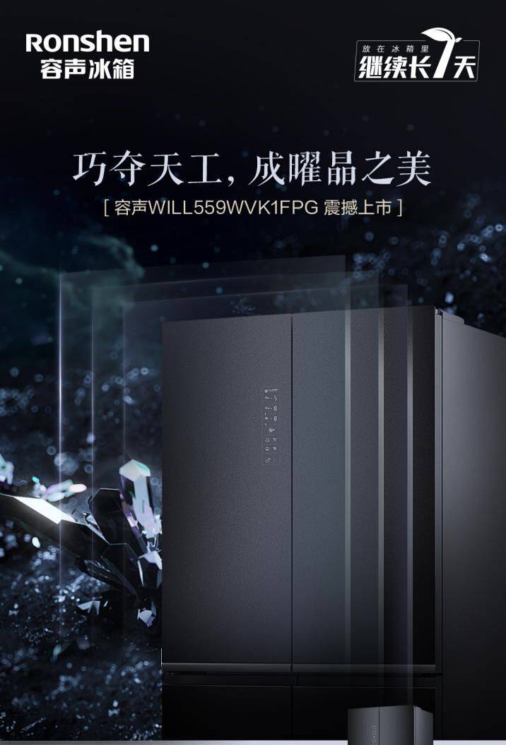 容声最新款冰箱559，详细论述与特点解析