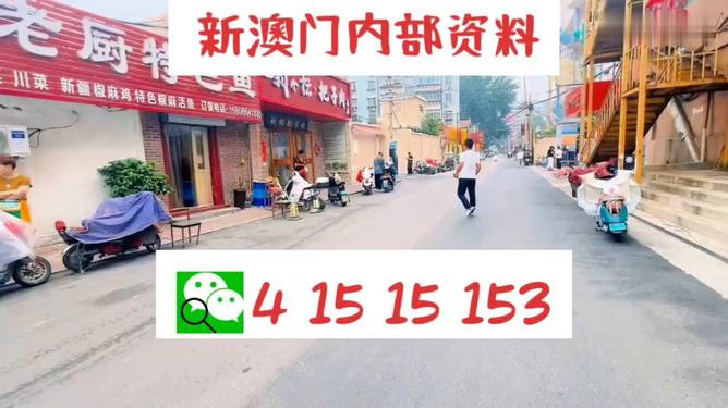 2024新澳门天天开好彩,数据解释说明规划_珍藏版71.771