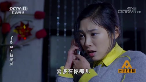 普法栏目剧演员介绍，小巷深处的法治故事与特色小店的演员阵容