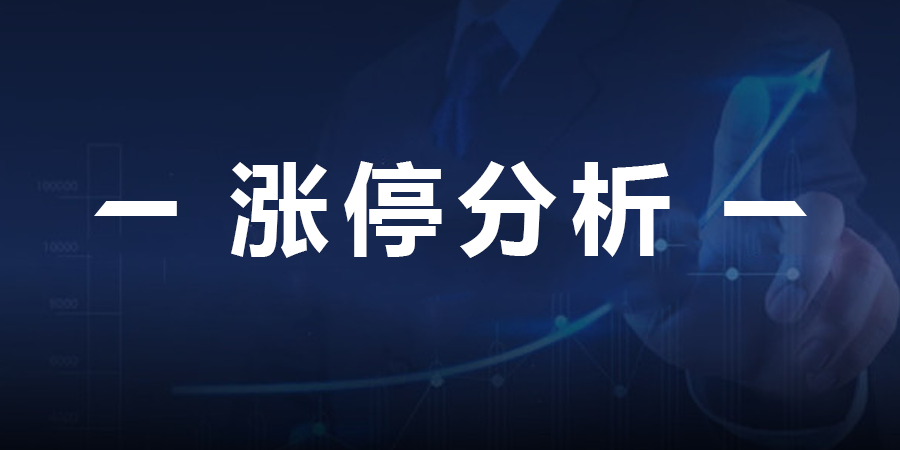 最新财经资讯深度解析及分析📉