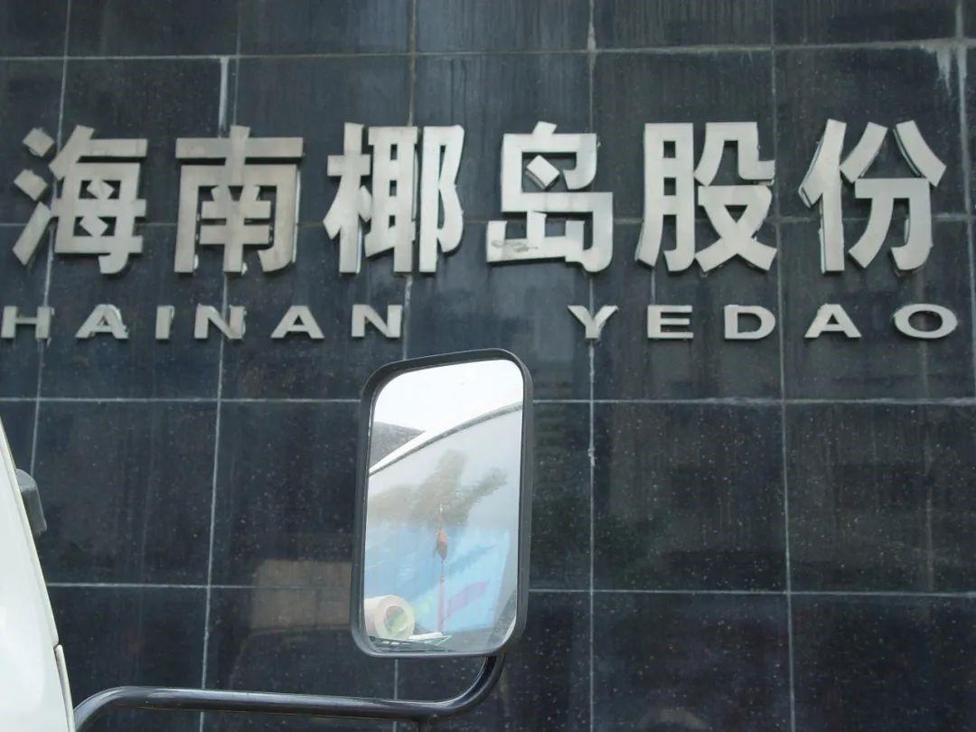 海南椰岛夏日奇遇，最新资讯一网打尽