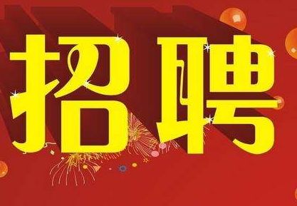 最新职位招聘资讯概览