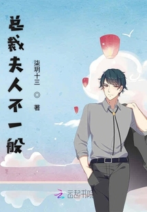 老王李芳芳小说新章，情感与命运的纠缠交织之旅