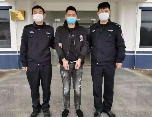 临高最新命案，变化、学习与自信的力量背后的故事
