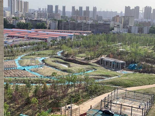郑州青少年公园最新情况,郑州青少年公园最新情况