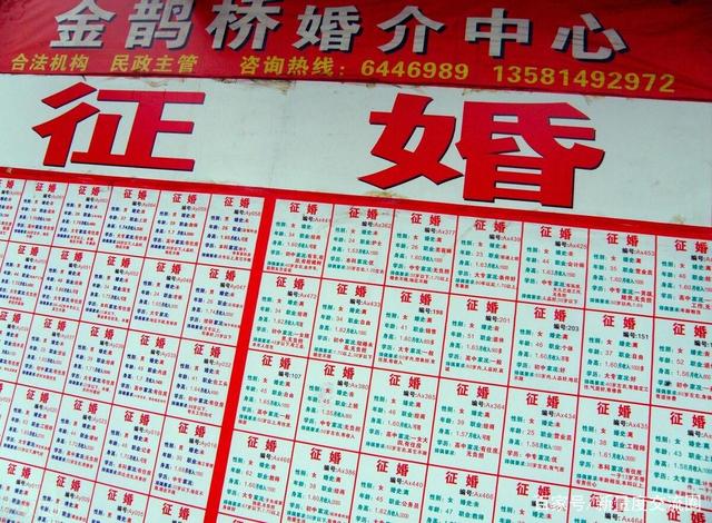 婚介所最新名字精选，自然美景的心灵之旅