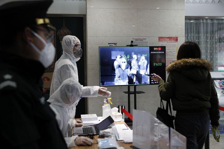 永利远最新发展脉络揭秘，特定领域中的显赫地位