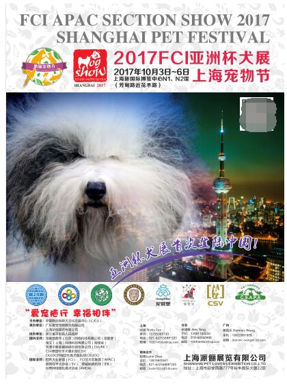 波奇网最新