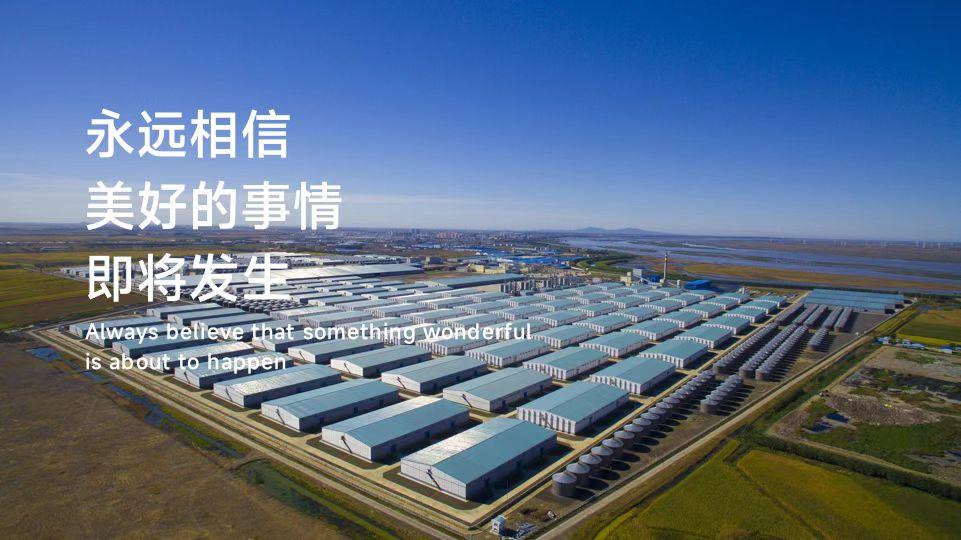 锂矿疫情下的励志之旅，变化、学习与信心的力量