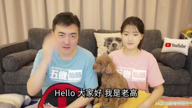 老高小茉任务指南，详细步骤完成某项任务或学习某种技能的指南