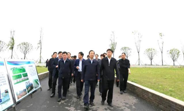 叶仁雄崛起，时代先锋的影响力与崛起之路