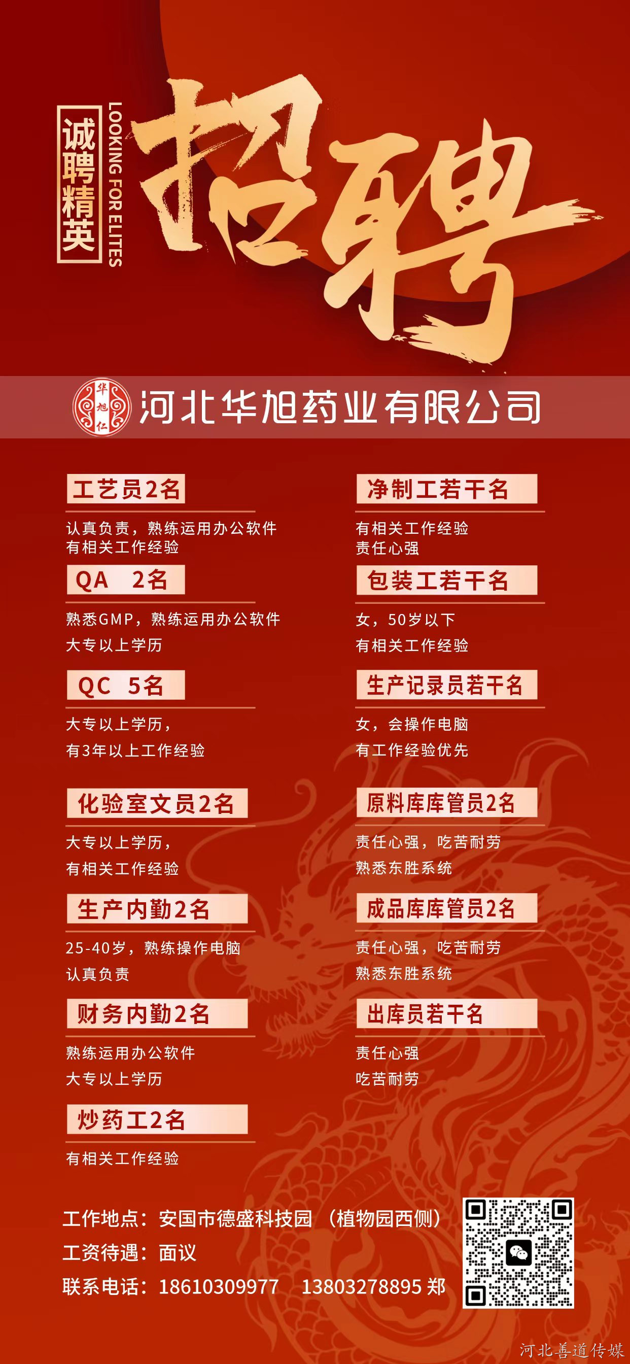 安国会计招聘信息最新揭秘，开启内心平静的会计之旅