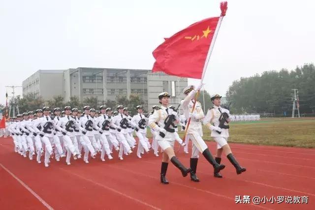 士官转文职最新政策，自然美景中的文职探索之旅