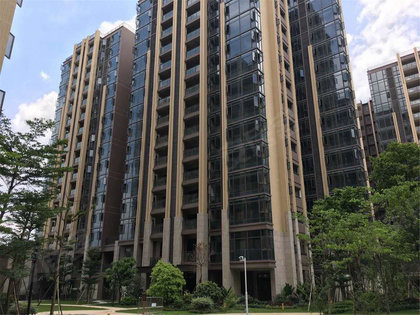 大沥碧桂园华府最新价格及市场走势多元观点分析